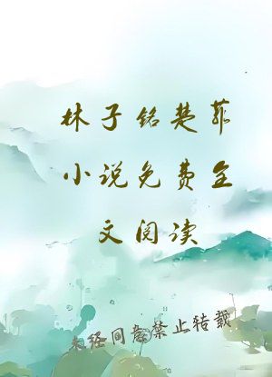 林子铭楚菲小说免费全文阅读