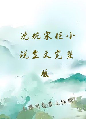 沈婉宋恒小说全文完整版