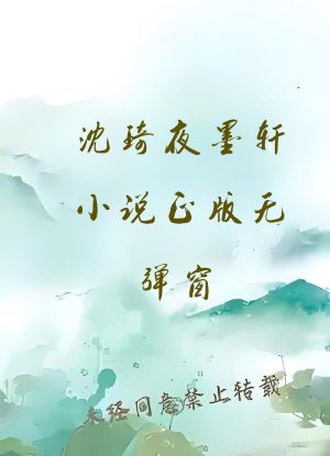沈琦夜墨轩小说正版无弹窗