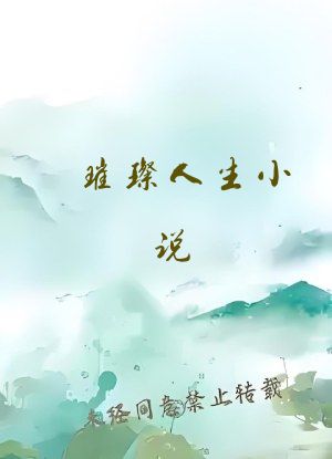 璀璨人生小说